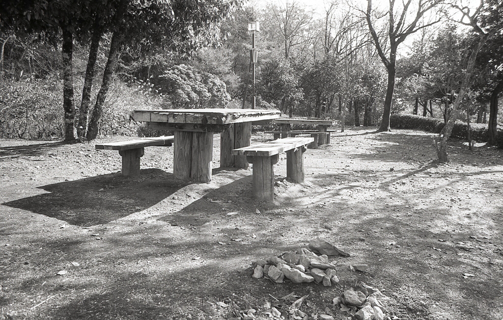 ウッドテーブルに陽がさして