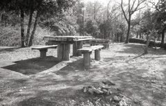 ウッドテーブルに陽がさして