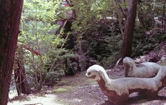 誰もいない公園のオットセイ？