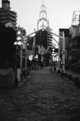 彷徨うカメラマン