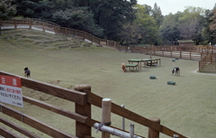 ちびっこ動物園