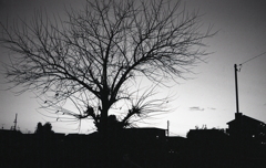 黄昏時のワンショット 黄昏時のワンショット