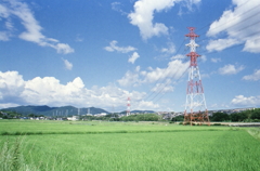 夏の緑の風景　by bicycle