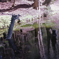 大沼の池の龍