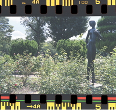 フィルムが好き、レチネッテが好き…　～名城公園にて。