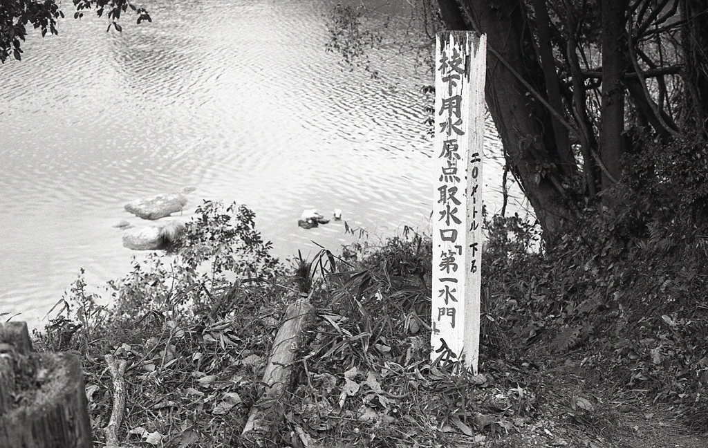 枝下用水原点取水口