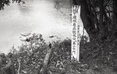 枝下用水原点取水口