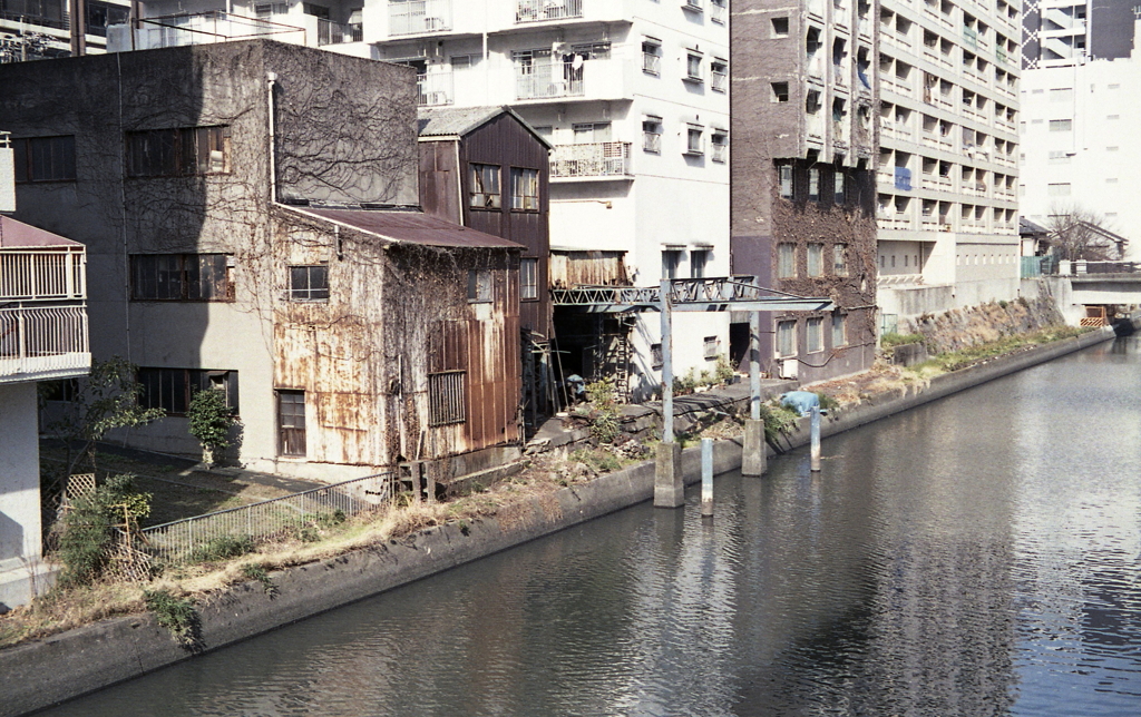 サビトタンのある風景　～新堀川風景