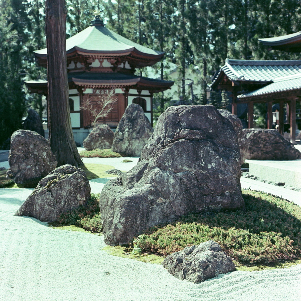 禅の苔岩