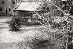 神社も白く雪化粧