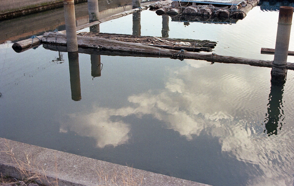 水面の青空と白い雲