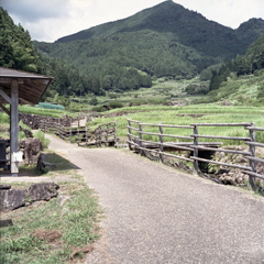 さて、もう少し歩こうか…