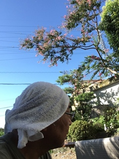 姉さんかぶりの長州力ではございません。（爆