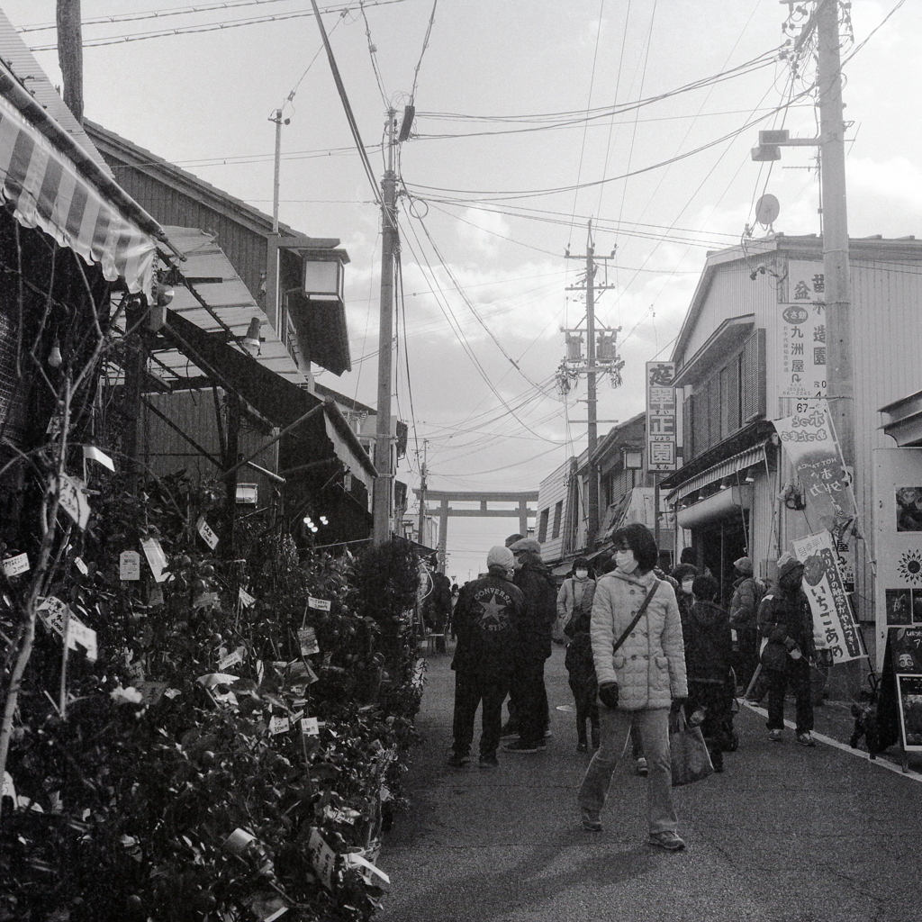 寒いけど賑わう参道