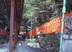 さて、赤幟を下ろう…