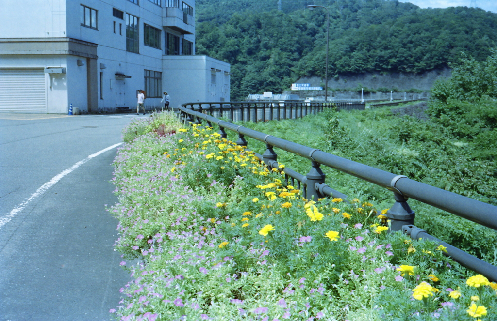 花の導線