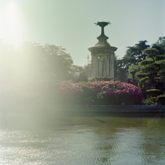 噴水に光輝き鶴舞公園