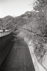 妙正寺川沿いにペダルを蹴る。　～東京モノクロ・最終章