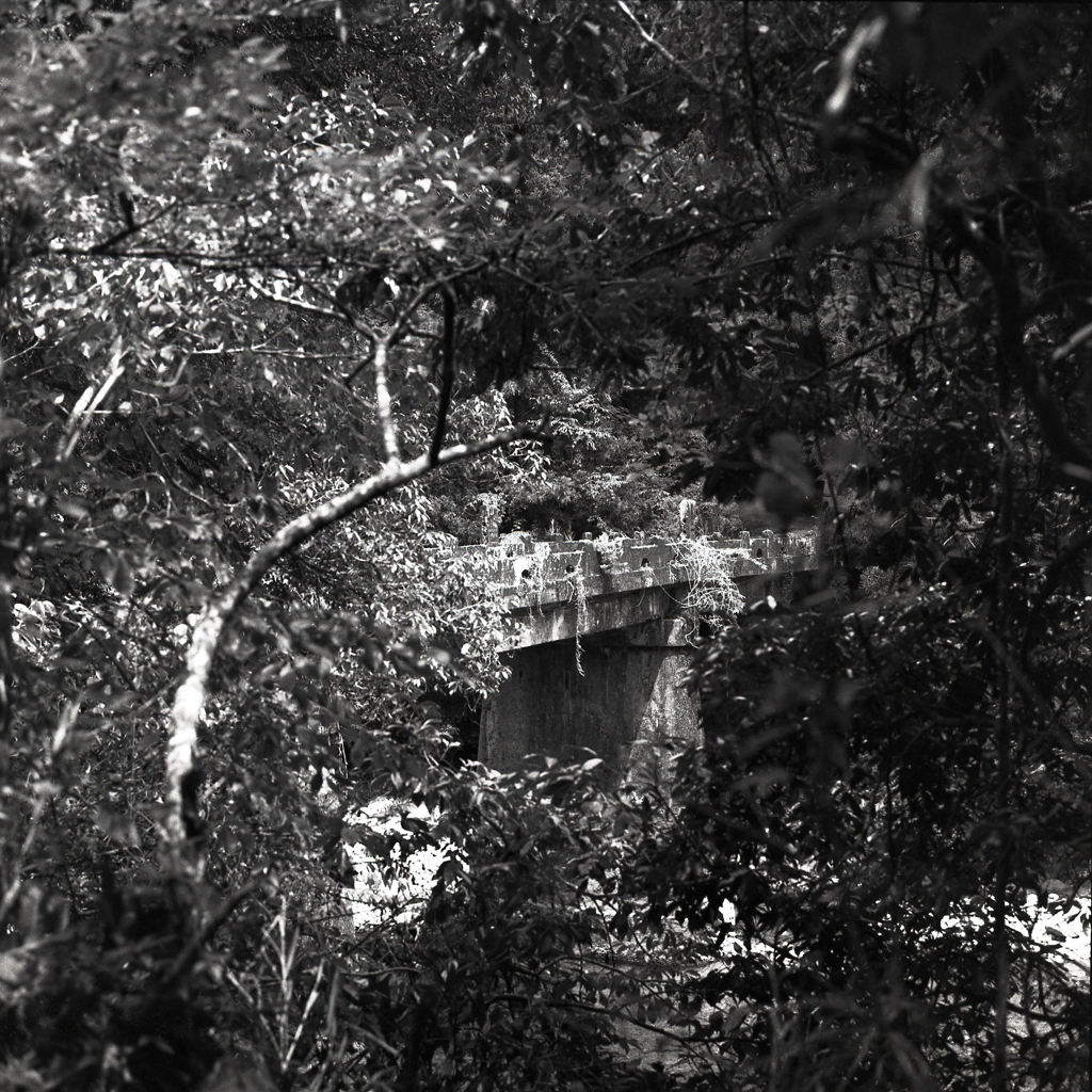 矢作に架かる古い石橋