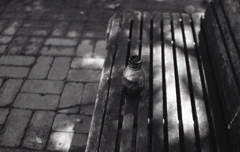 ベンチのジョージア