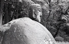 万治の横顔