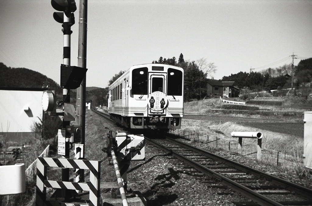 花見日和列車通過しま～す！