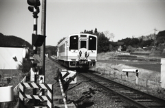 花見日和列車通過しま～す！