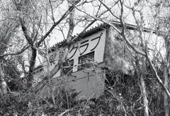 乗馬クラブもあったんだ。