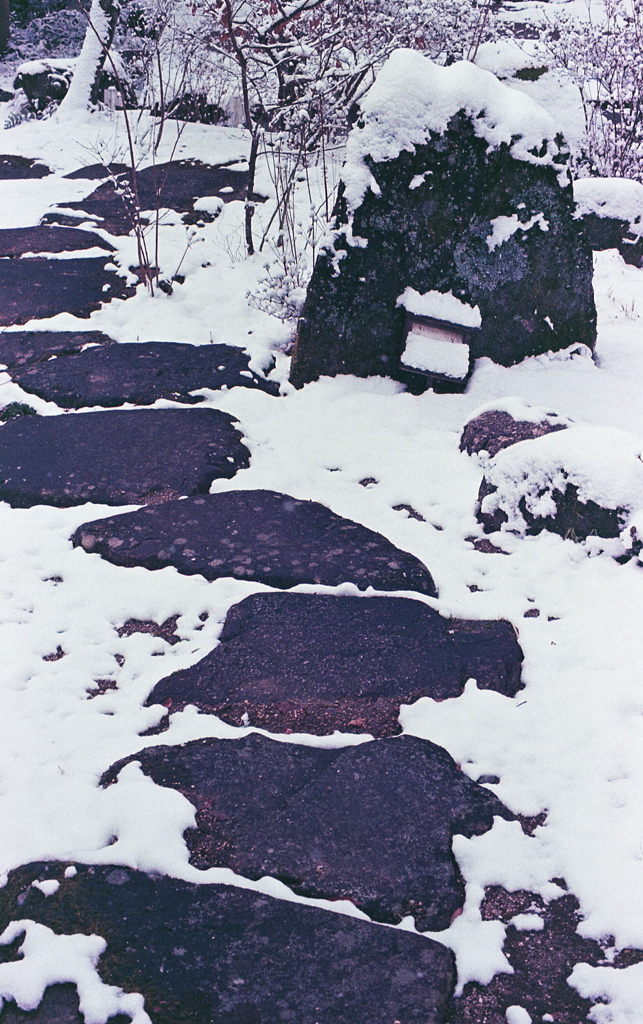 雪に並ぶ散策路
