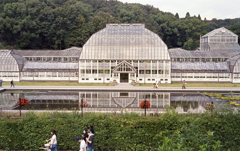 私はこれほど美しい温室を見たことがない。