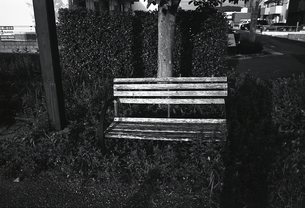 木ベンチ　～Rollei Retro（ローライレトロ）の散歩道
