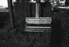 木ベンチ　～Rollei Retro（ローライレトロ）の散歩道