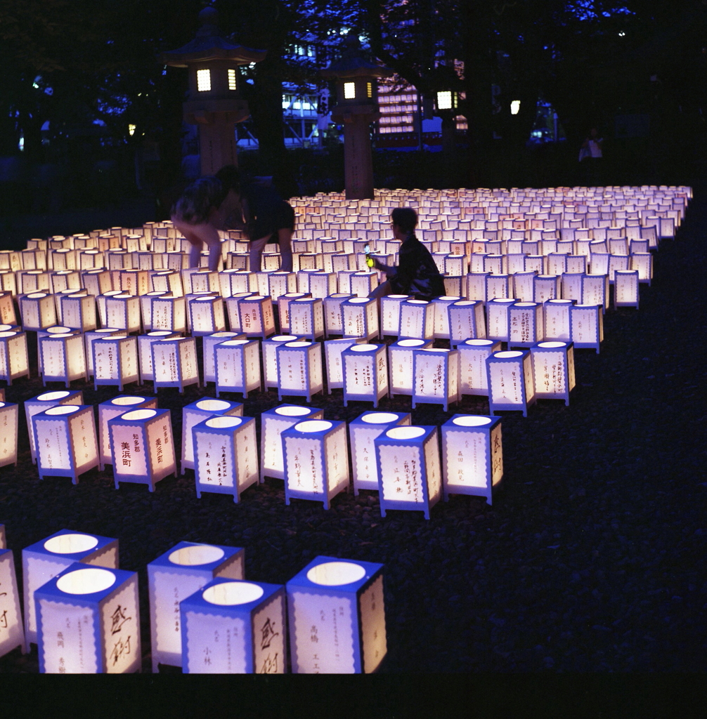 献灯祭　～愛知県護国神社（2016年8月16日撮影）