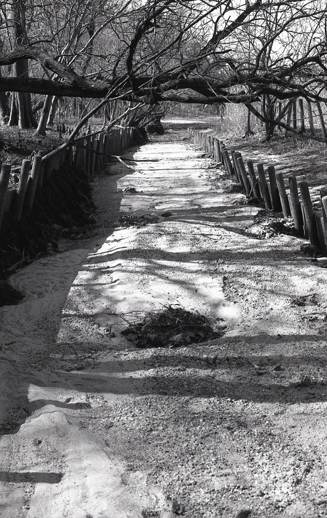 ２月のＡー１monochrome（Ⅲ）