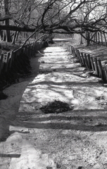 ２月のＡー１monochrome（Ⅲ）