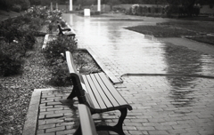 誰もいない雨のベンチ