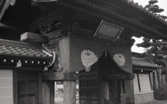 昨日は義兄の墓参り