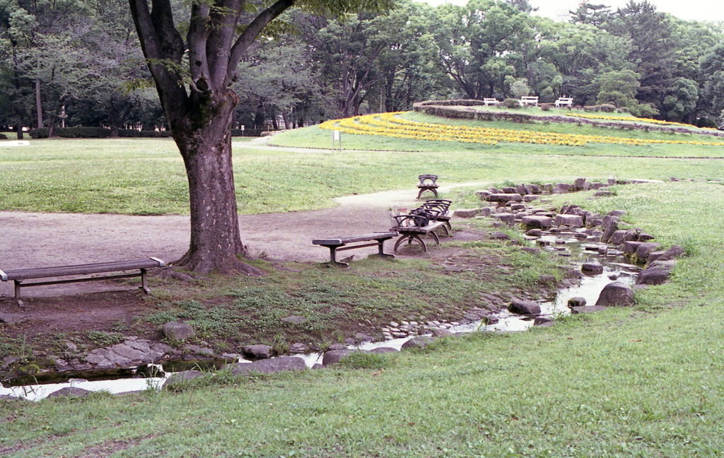名城公園パトロール