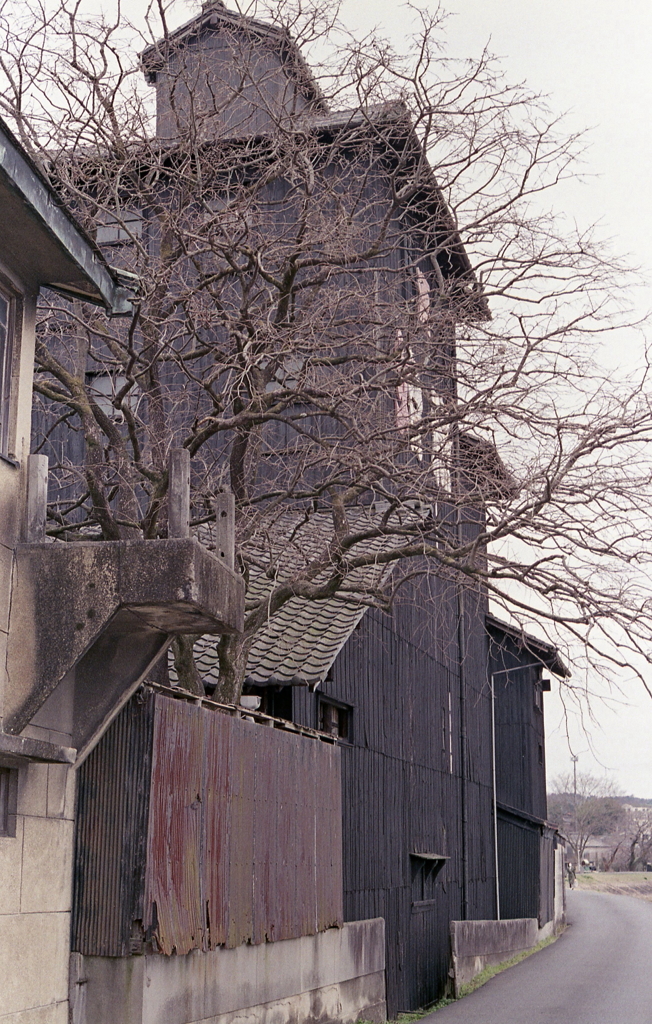 土岐川沿いを歩く