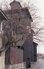 土岐川沿いを歩く