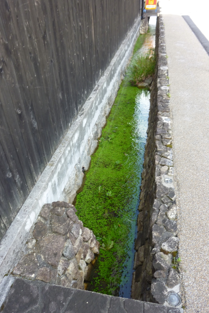 用水の水と緑が綺麗です。