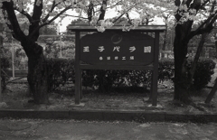 王子バラ園　～とりとめのないスナップ
