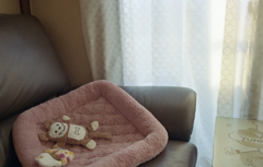 つれづれなるままにカメラに向かひて…