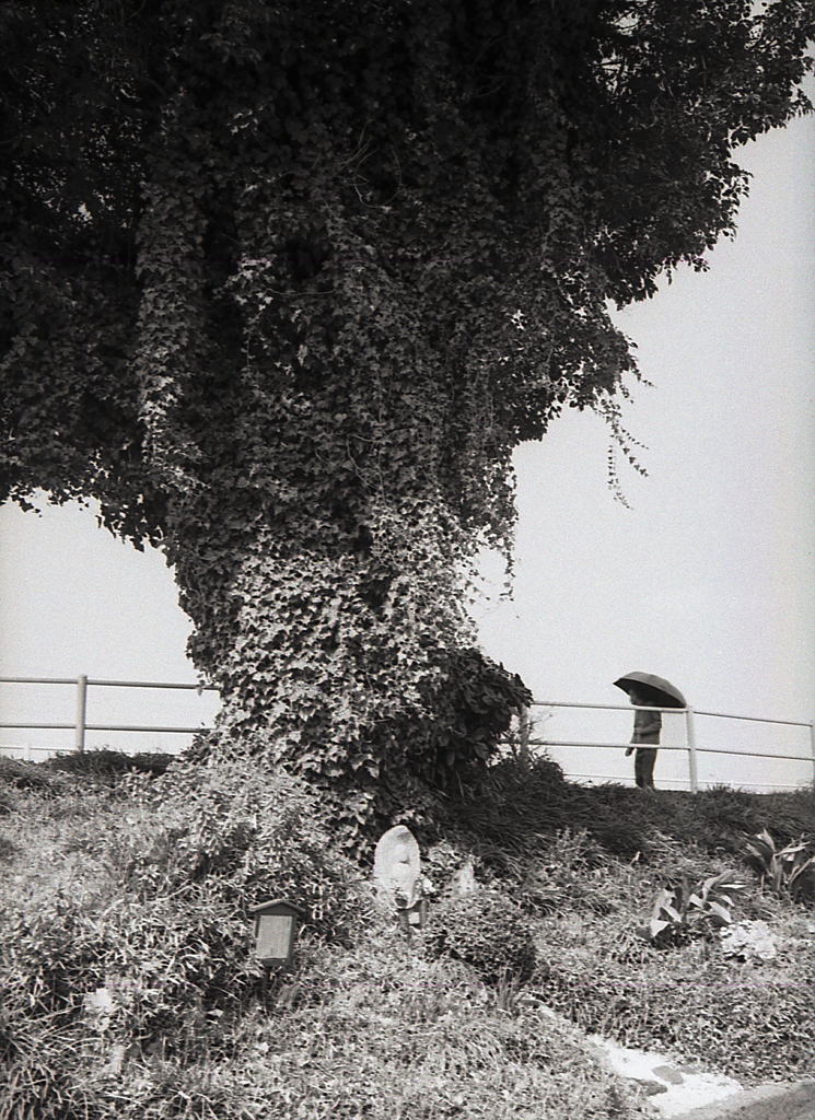 内津の土手を歩く日傘の人