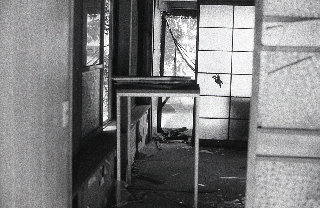 県道から廃墟を覗くと…