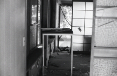 県道から廃墟を覗くと…