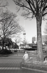 希望の広場から老人とテレビ塔　～久屋大通