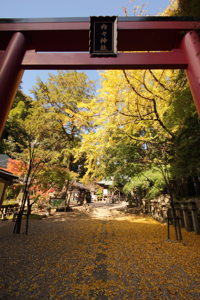 内々神社　～黄色い世界