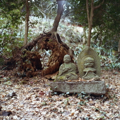 枯れ大木の地蔵様Ⅱ