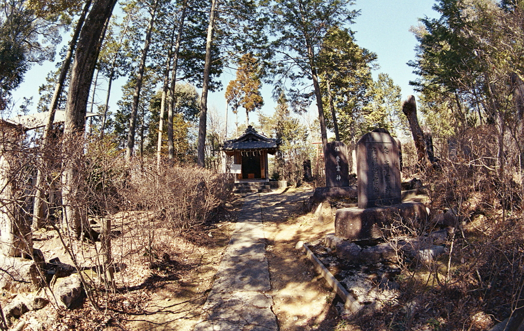 神々の参道